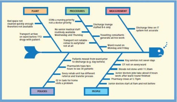 Fishbone diagrams | Point of Care Foundation